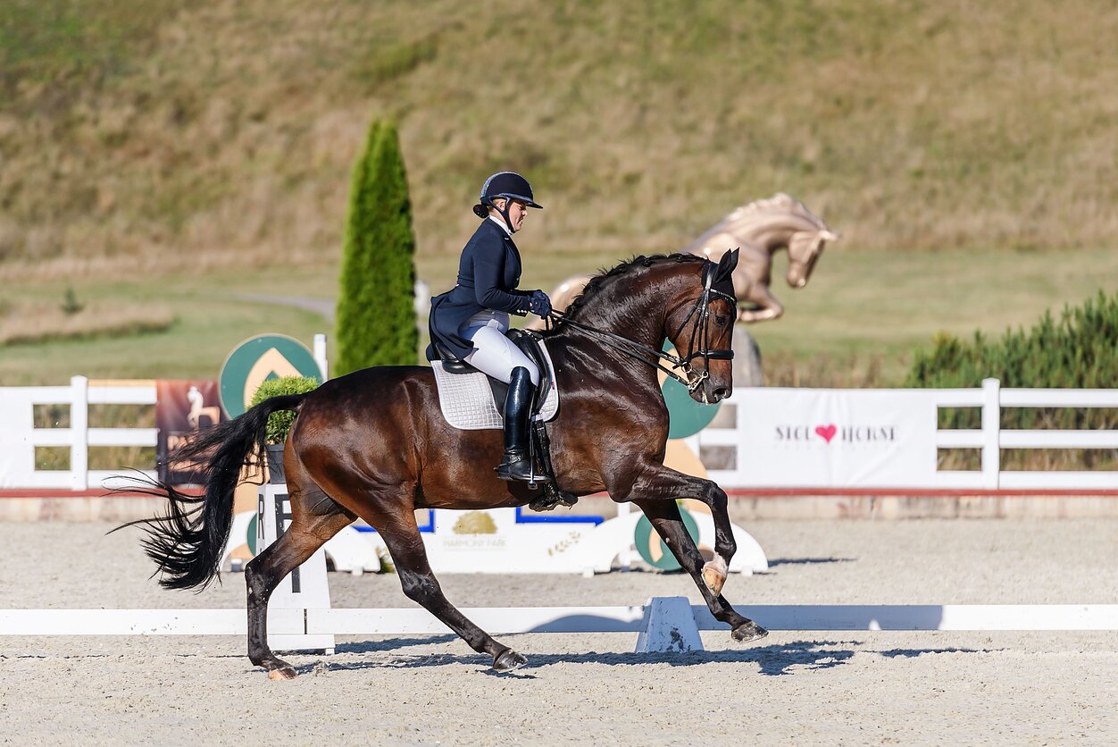 Lietuvos raiteliai sužibėjo tarptautinėse varžybose Slovakijoje ir Estijoje